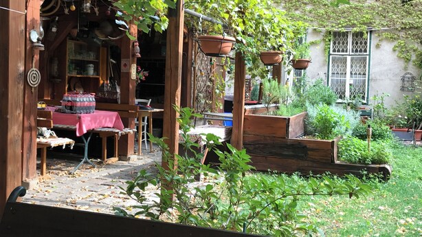 Une structure rustique en bois, avec une table et des chaises, entourée de verdure et de plantes en pot.