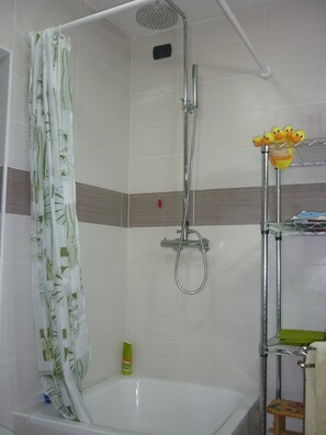 Shower, hair dryer, bidet, towels