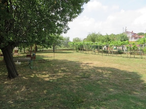 المنطقة المحيطة بالمنشأة