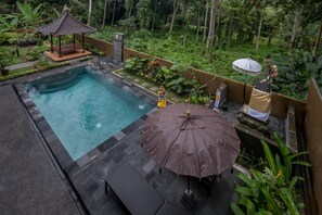 Exclusive Villa, 2 Bedrooms, Pool View | Private pool - Puri Astina Villa (Ubud)