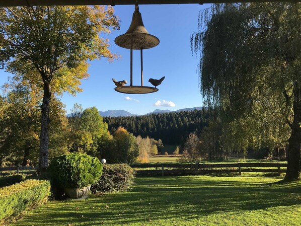 Unclassified image, 1 of 30, button