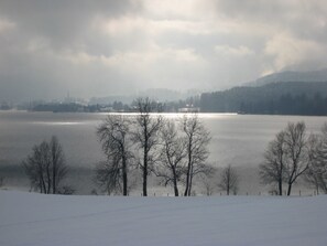 Unclassified image, 2 of 30, button