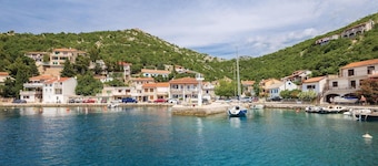 Lovely apartment in Stinica with house sea view