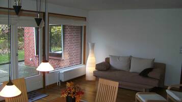 TV, DVD player, books, video library