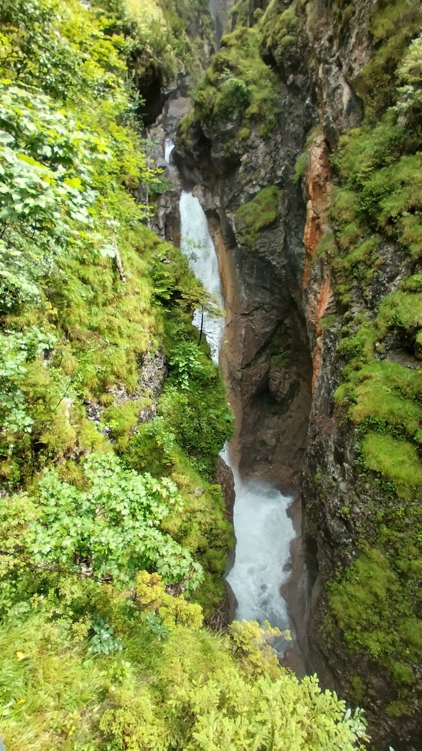 Ein Wasserfall stürzt über eine felsige Klippe, umgeben von üppigem Grün.