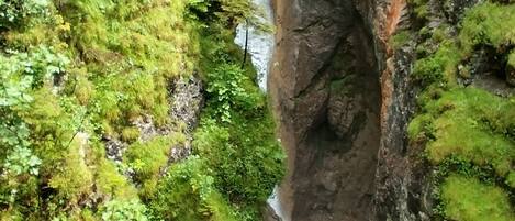Ein Wasserfall stürzt über eine felsige Klippe, umgeben von üppigem Grün.