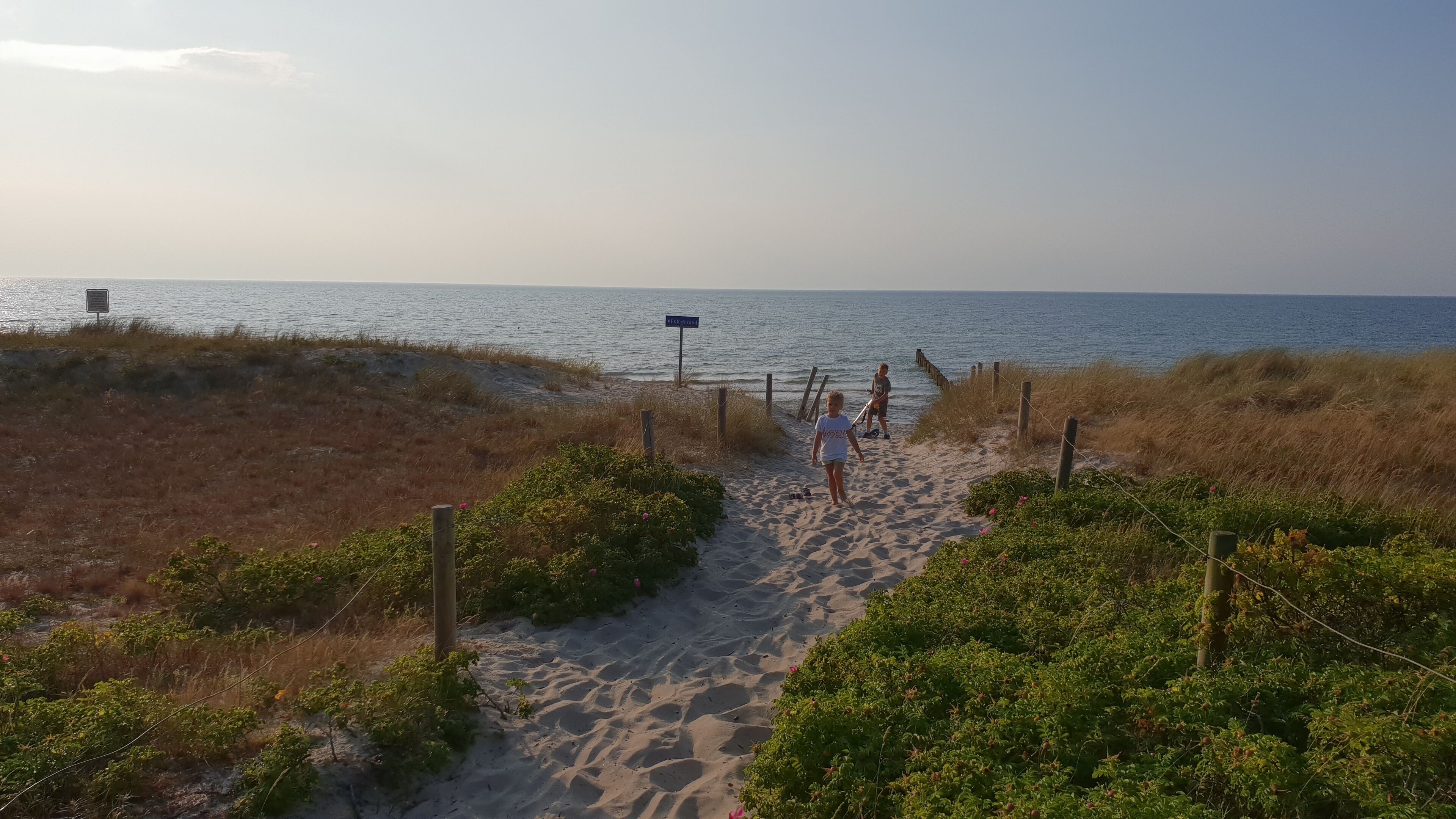 Apartment Graal Müritz 650m from the beach