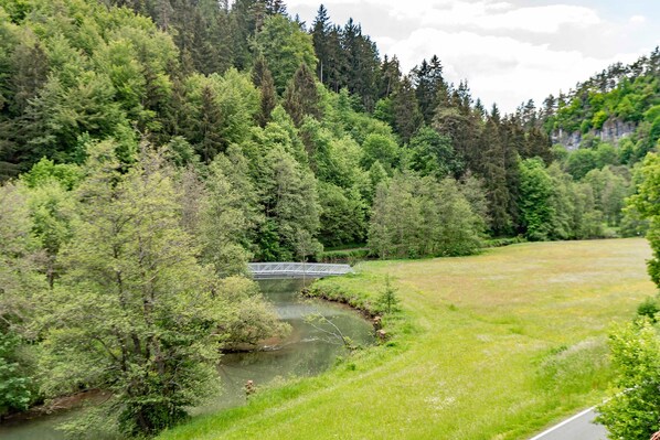 Un río que atraviesa un bosque con un puente.