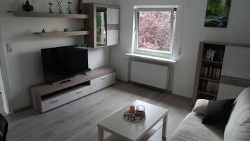 TV, DVD player, toys, books