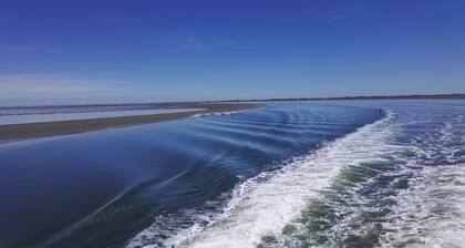 Schöne Ferienwohnung mit großer Außenterrasse in Deichnähe