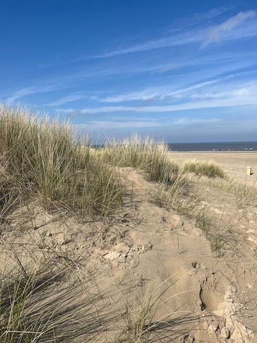 Detached holiday home in a quiet location, right on the Grevelingenmeer