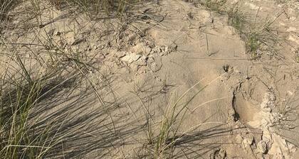 Detached holiday home in a quiet location, right on the Grevelingenmeer