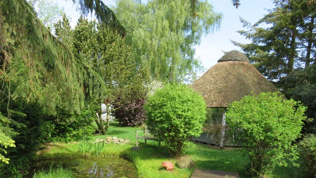 A garden with a pond, a wooden pathway, and a thatched-roof structure. - Landhaus Darss - in love with nature (Wieck a. Darß)