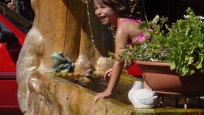 Un niño jugando junto a una fuente de madera, con un pato y una planta en maceta cerca.