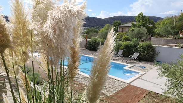 Un cortile con piscina, circondato da piante in vaso e un patio in legno.
