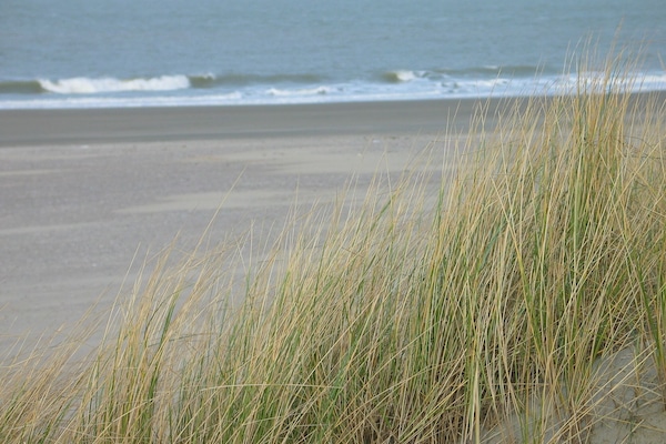 Strand Wissenkerke