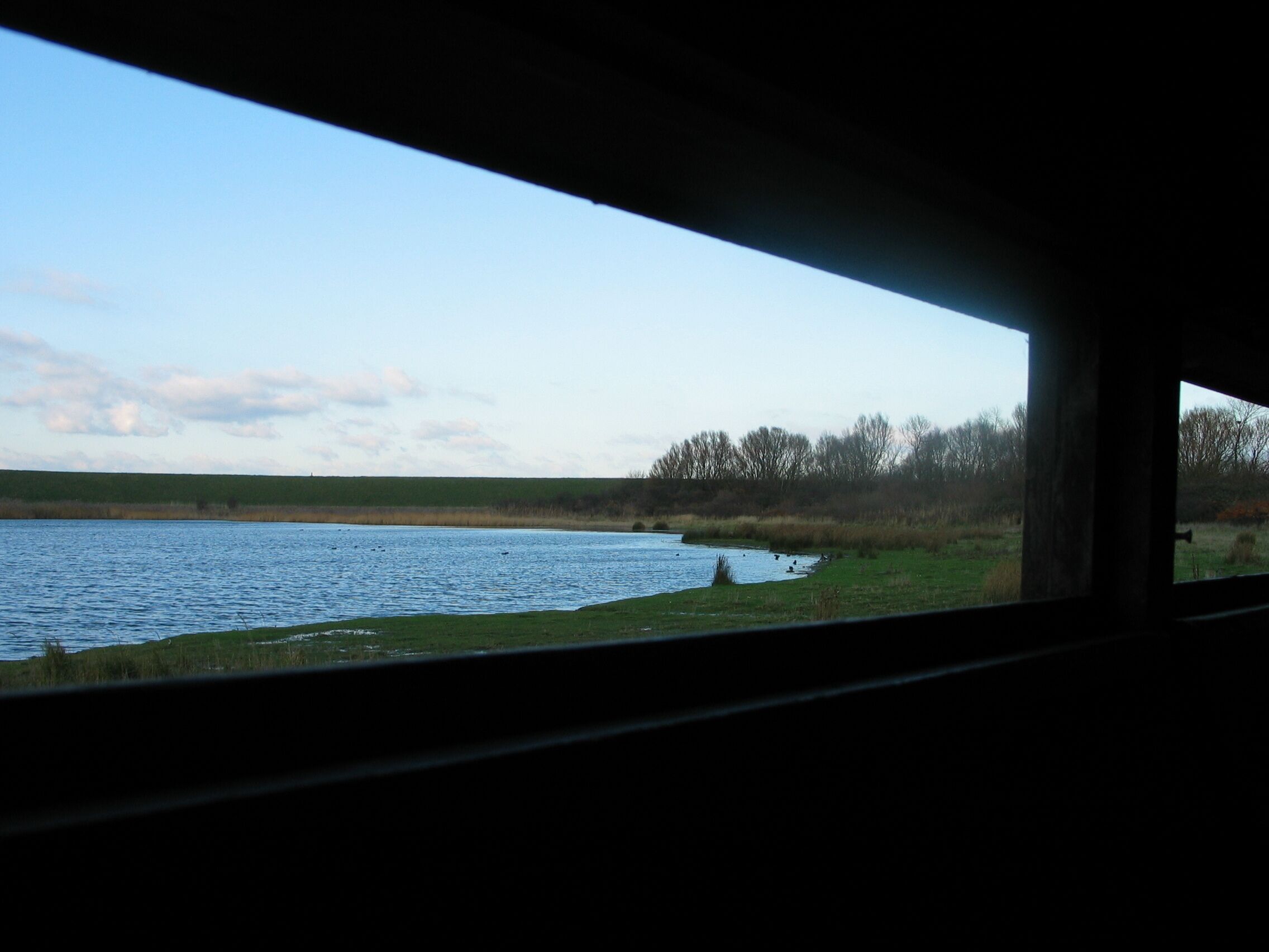 Blick vom beobachtungshütte Wissenkerke