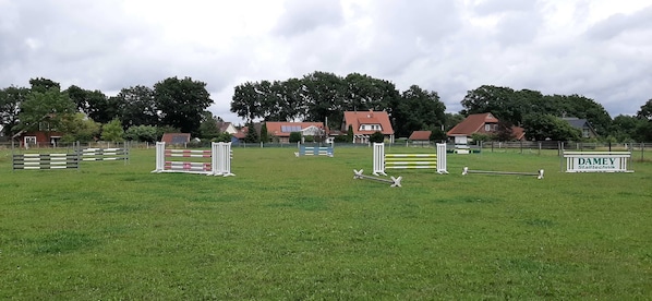 Una pista ecuestre al aire libre con varios obstáculos y un letrero que dice "DAMEX Stalltechnik".