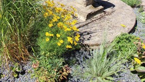 Un jardín con una escultura de piedra, diversas plantas y una cerca de madera.