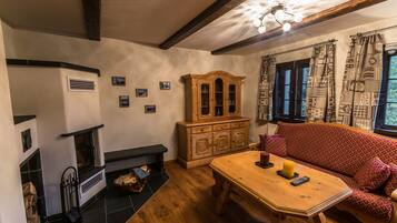 TV, fireplace, DVD player, books