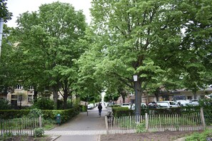 A tree-lined residential street with parked cars and a pedestrian pathway. - Idyllic, central, quiet, high-quality apartment in an old building with excellent transport connections (Heidelberg)