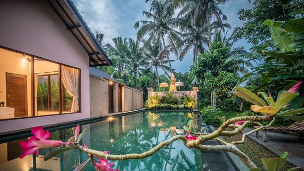 A modern house with a glass pool reflecting palm trees and a decorative bridge. - Sujaya Villas (Ubud)