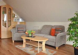 TV, DVD player, books, music library