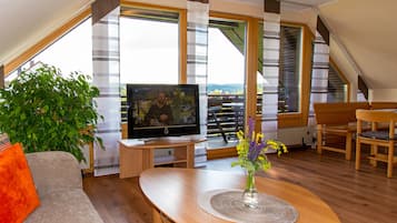 TV, DVD player, books, music library