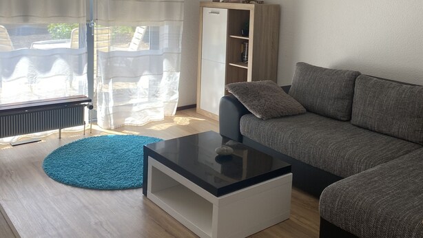 A modern living room with a grey sofa, a black coffee table, and a blue rug. There is a wooden cabinet and a painting on the wall. - Family-friendly apartment with a sun terrace of 45 sqm with WiFi (Horn-Bad Meinberg)