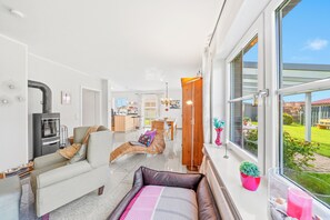 TV, fireplace, books