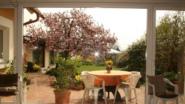 Une terrasse avec une table et des chaises, un pot de fleurs et une vue sur un jardin avec un arbre.