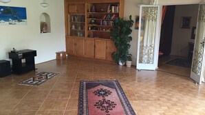 Un salon spacieux avec un plancher en bois, une grande bibliothèque, une plante en pot et un tapis rouge à motifs.