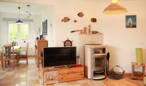 Télévision, cheminée, lecteur de DVD, livres