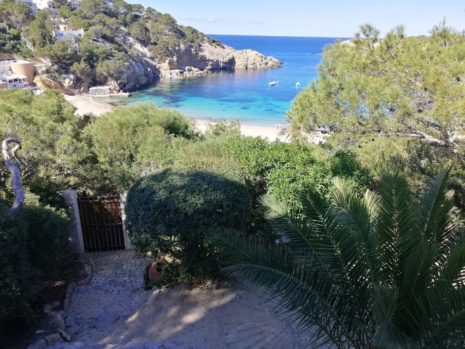 A coastal view with a beach, rocky cliffs, and dense greenery.
