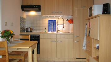 Fridge, microwave, oven, coffee/tea maker