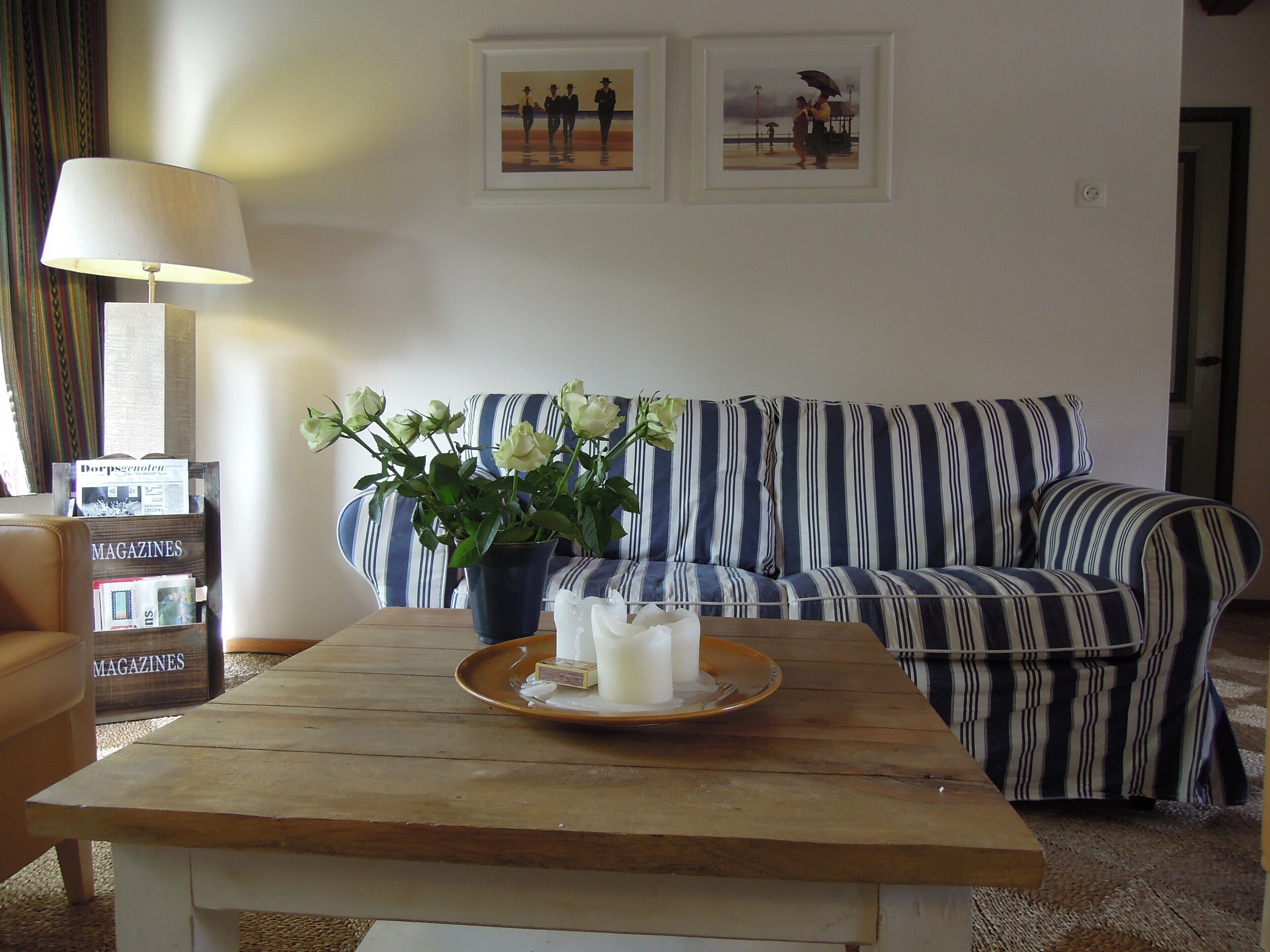 Télévision, lecteur de DVD, livres