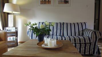 Télévision, lecteur de DVD, livres