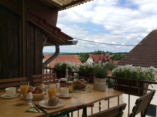 FeWo am Reinhardswald "Buchenzweig" - Northern Hesse with family and dog experience 