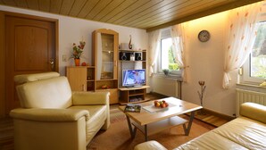 A living room with a wooden ceiling, a television, a bookshelf, and a window with curtains. - Apartment for 2-3 people on the southern slope with View and possibility of excursions (Plankenfels)