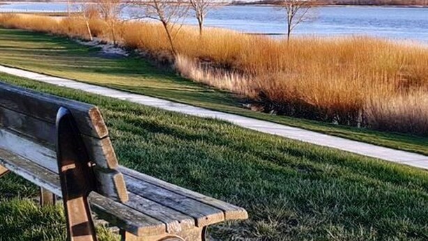 A bench in a park with a path leading to a body of water. - Best of Kollmar, app. with terrace for 2 pers. absolutely quiet - Best of Kollmar, (Kollmar)