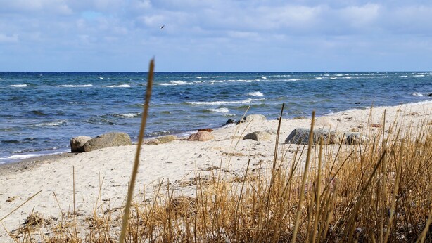 A beach with waves, rocks, and dry grass.