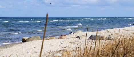 Una spiaggia nelle vicinanze