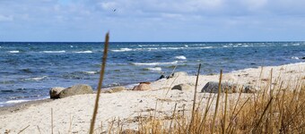 5 ***** holiday home on the Baltic beach with sauna, fireplace, Wi-Fi and garden