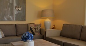 Smart TV, DVD player, books, video library