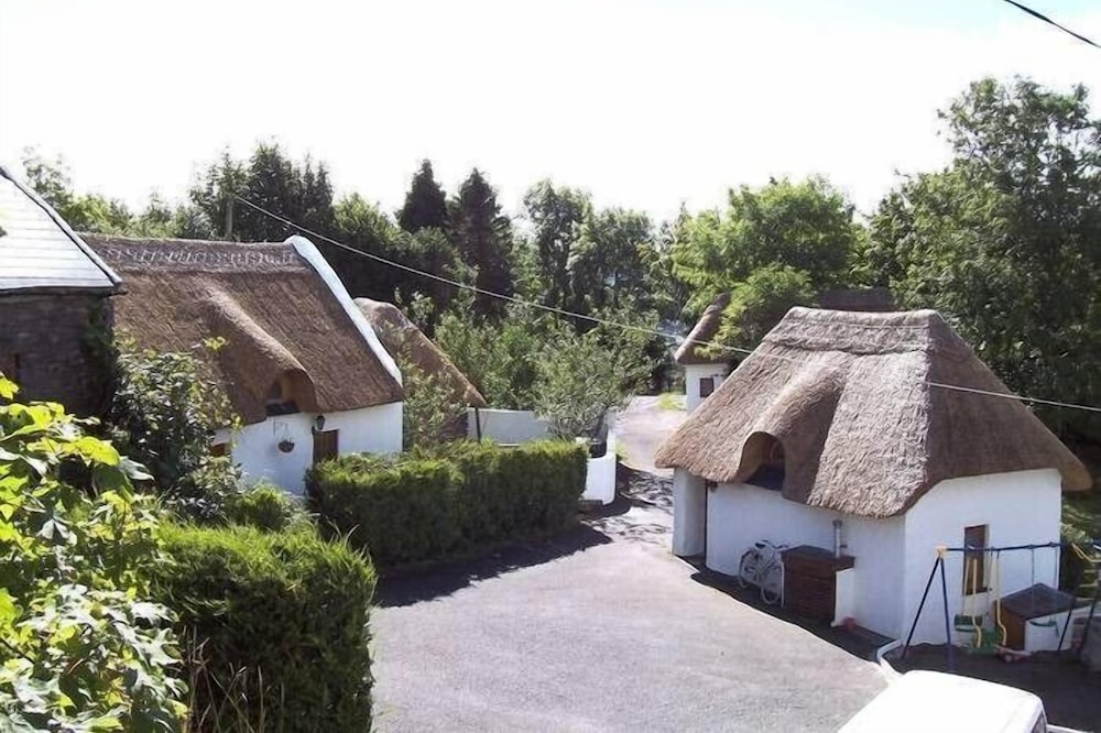 Thatched cottage / 200 year old farm house