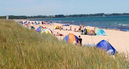 Exclusive holiday home between Bodden and the Baltic Sea directly at the forest - FREE WiFi