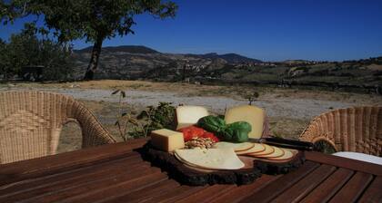 Rustic stone house in Romagna with panoramic terrace and free Wi-Fi