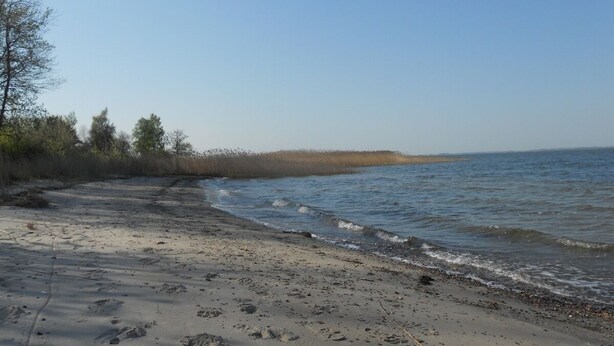 Een strand met een zandrijk strand, rustig water en schaarse begroeiing.