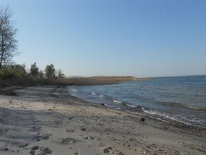 Beach nearby, sun-loungers