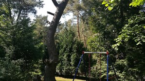 Een schommel in een gazon met bomen op de achtergrond.